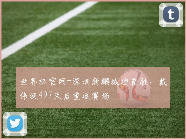 世界杯官网-深圳新鹏城迎首胜，戴伟浚497天后重返赛场
