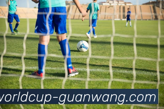世界杯官方网站平台生态图